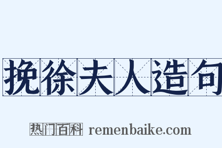 挽徐夫人造句是什么意思的图片